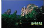 網(wǎng)絡(luò)熱門(mén)純玩游：張家界、天子山、袁家界、楊家界 自助三日游