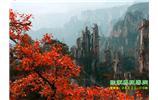 春節(jié)期間：張家界、天子山、金鞭溪自駕車精華精品游