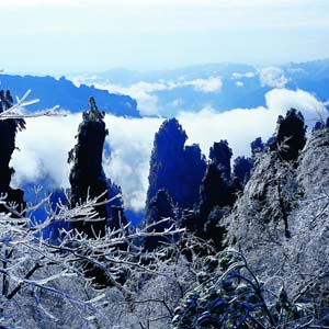 LD線：張家界、天子山、楊家界、猛洞河漂流純玩四日游