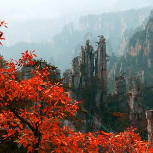 休閑自駕E線：張家界、袁家界、天子山、寶峰湖、鳳凰古城、沱江泛舟四晚五日游