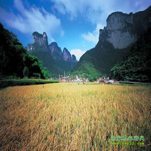 張家界往返純玩散拼：矮寨大橋、德夯苗寨、鳳凰古城、芙蓉鎮(zhèn)二日游