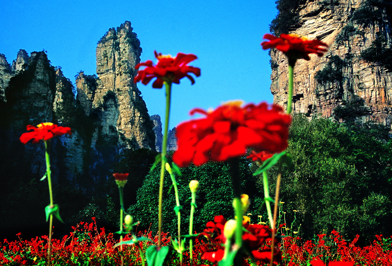 LF線：張家界國(guó)家森林公園、猛洞河漂流、鳳凰古城純玩自助五日游
